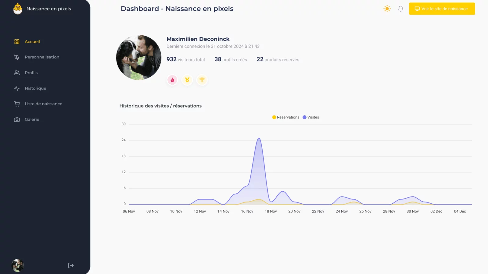 Capture d'écran de l'application Naissance en Pixels - Tableau de bord